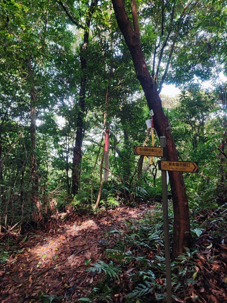 關刀山-小百岳#36-苗栗縣三義鄉_2244996