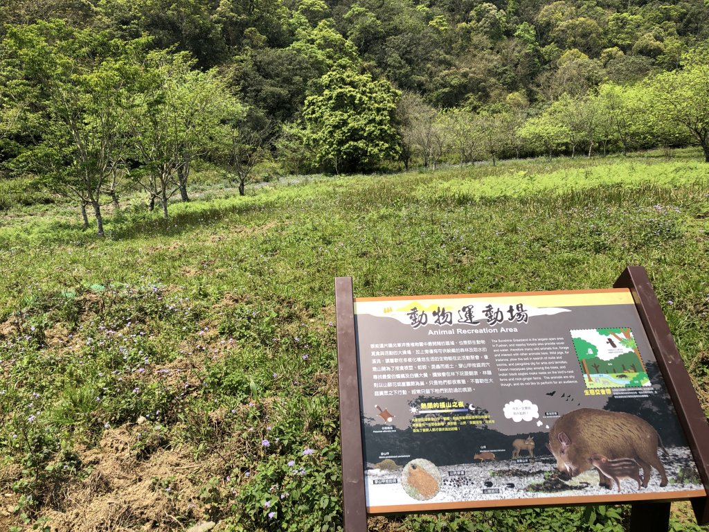2019.04.07福山植物園_1007094