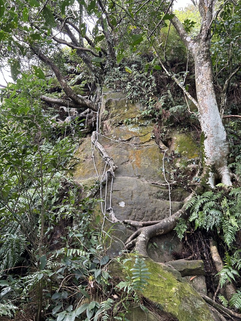 20240303 [台北大縱走6]_2444416