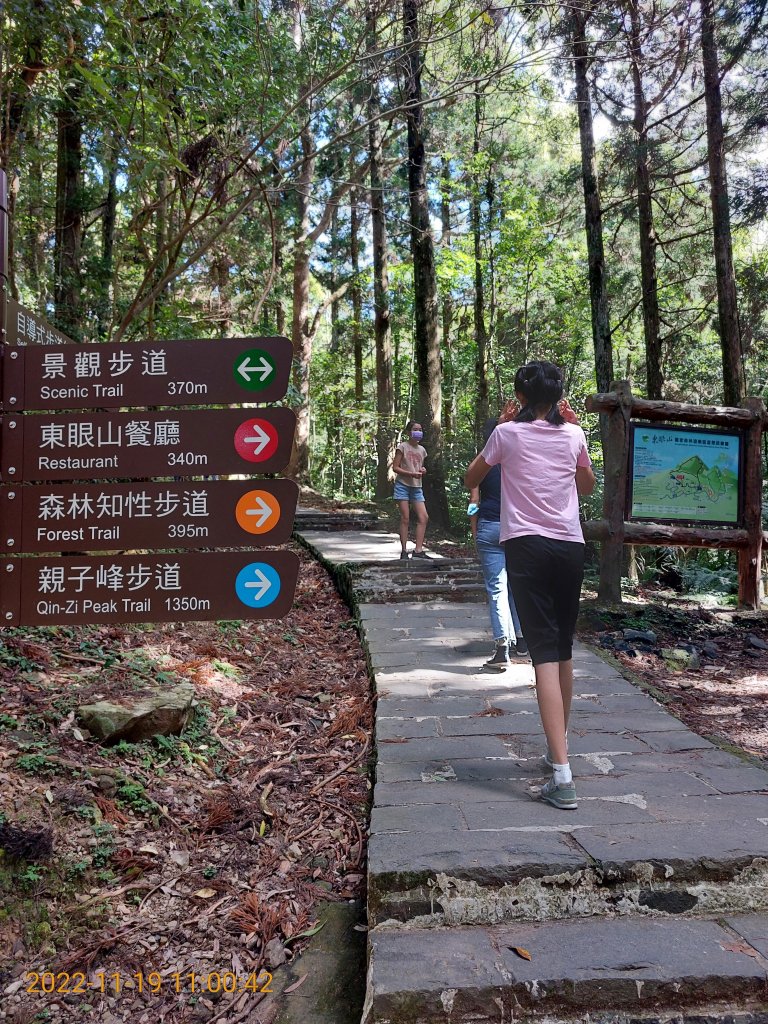 2022.11.19 桃園東眼山，小百岳#22.標高1212m_1921049