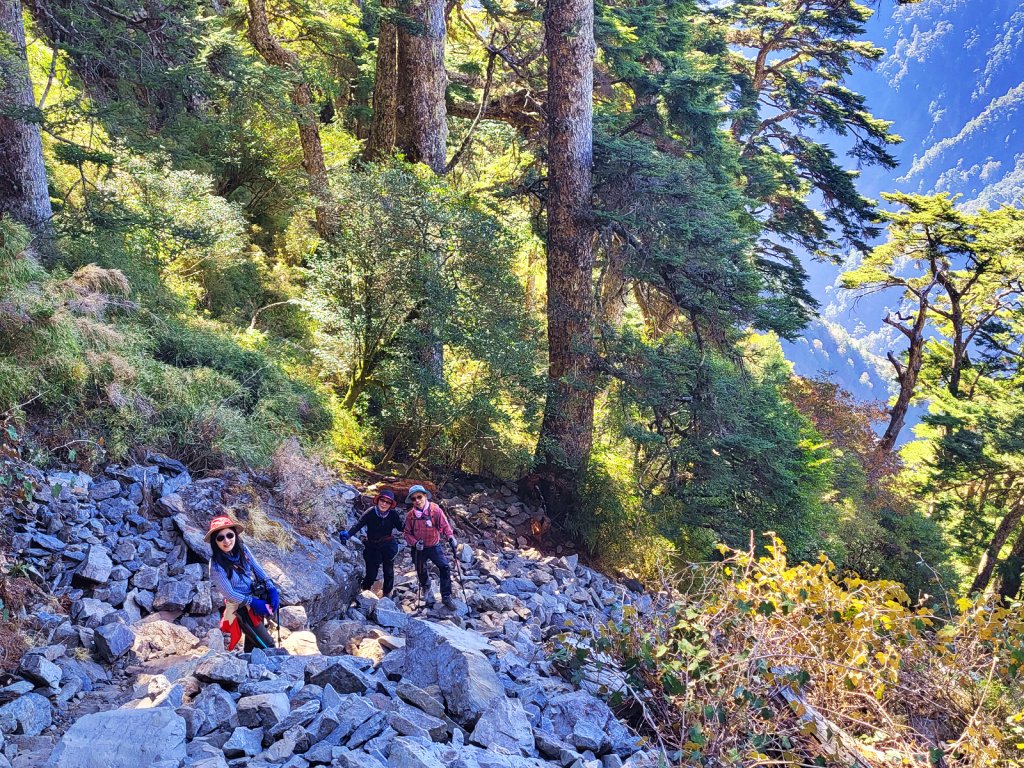 【百岳新手練習場】玉山前峰_2072330