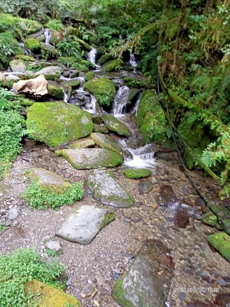 拉拉山國家森林遊樂區、神木群步道【桃園-臺灣百大必訪步道、走路趣尋寶】_2292851