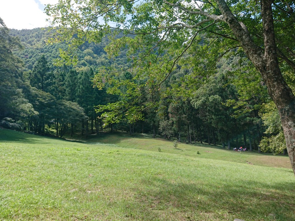 惠蓀林場_1484880