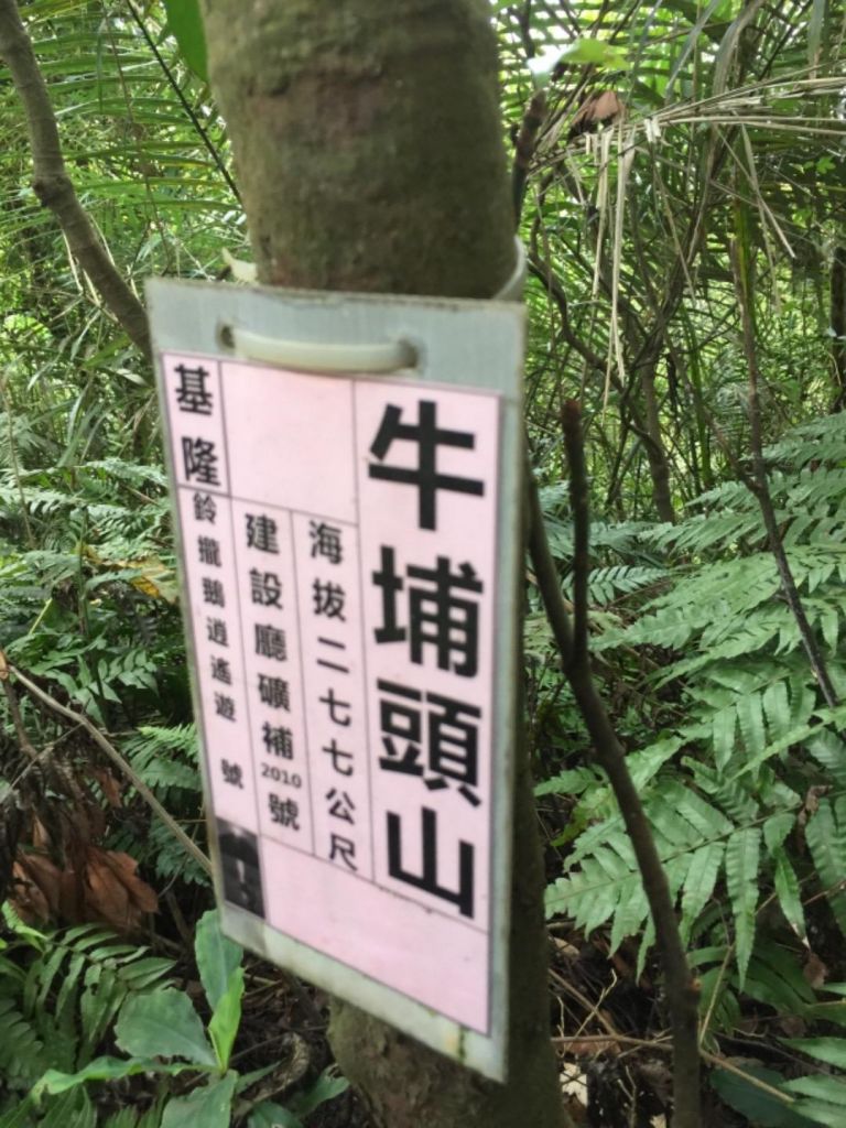 景安捷運-國旗嶺-長壽嶺圓通寺牛埔頭山_395961