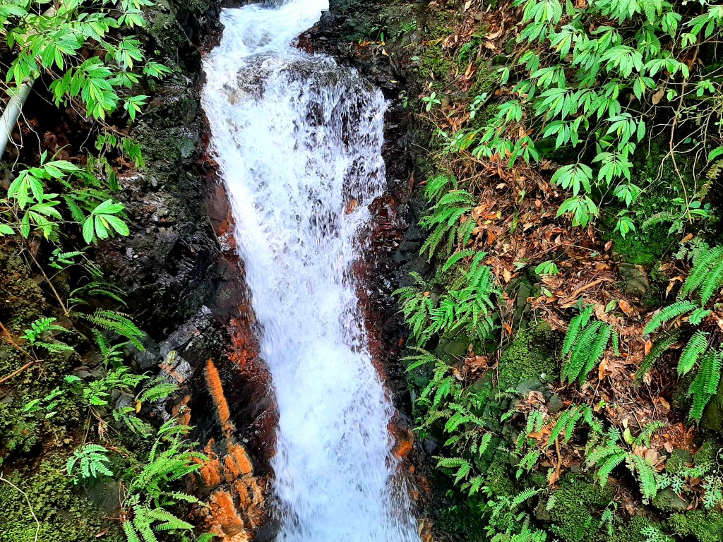 走遍陽明山：擎天崗系｜景遠心自闊，潺潺溪水聲洗去一身憂_2113867