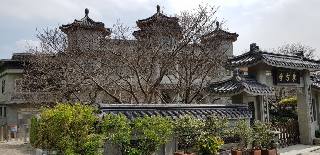 櫻你而美_858192