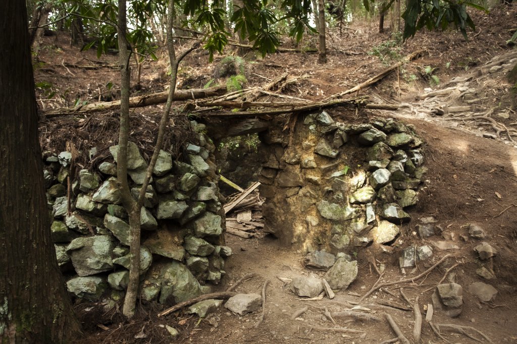 2023.03.11 馬崙山小O、新山遺址(馬崙山步道支線去、斯可巴步道返)_2072752