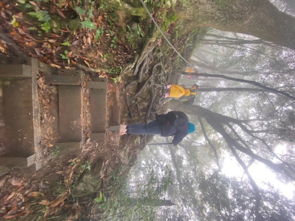 210109功虧一簣之超冷稍來山賞楓_1276583