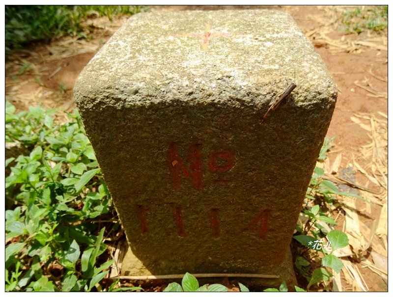 彰化/橫山觀日步道_636184