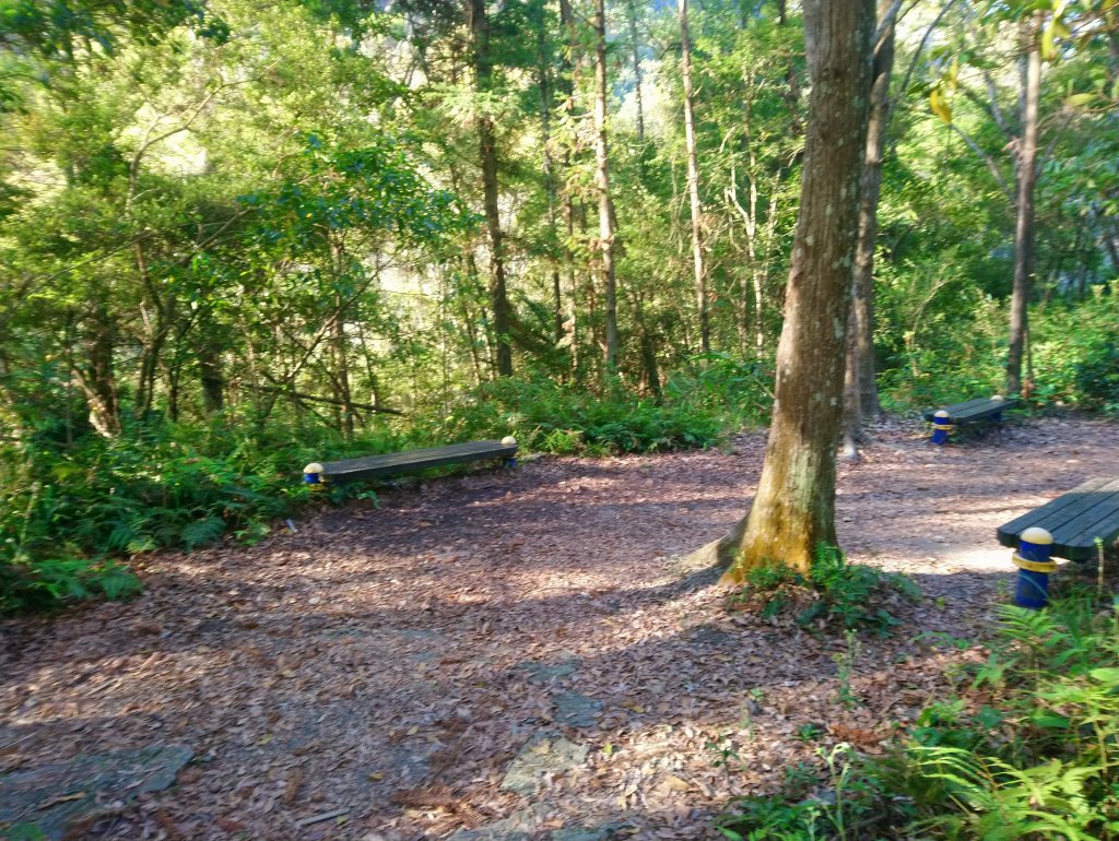 虎山 由易到難 漸進式 健身步道_855712