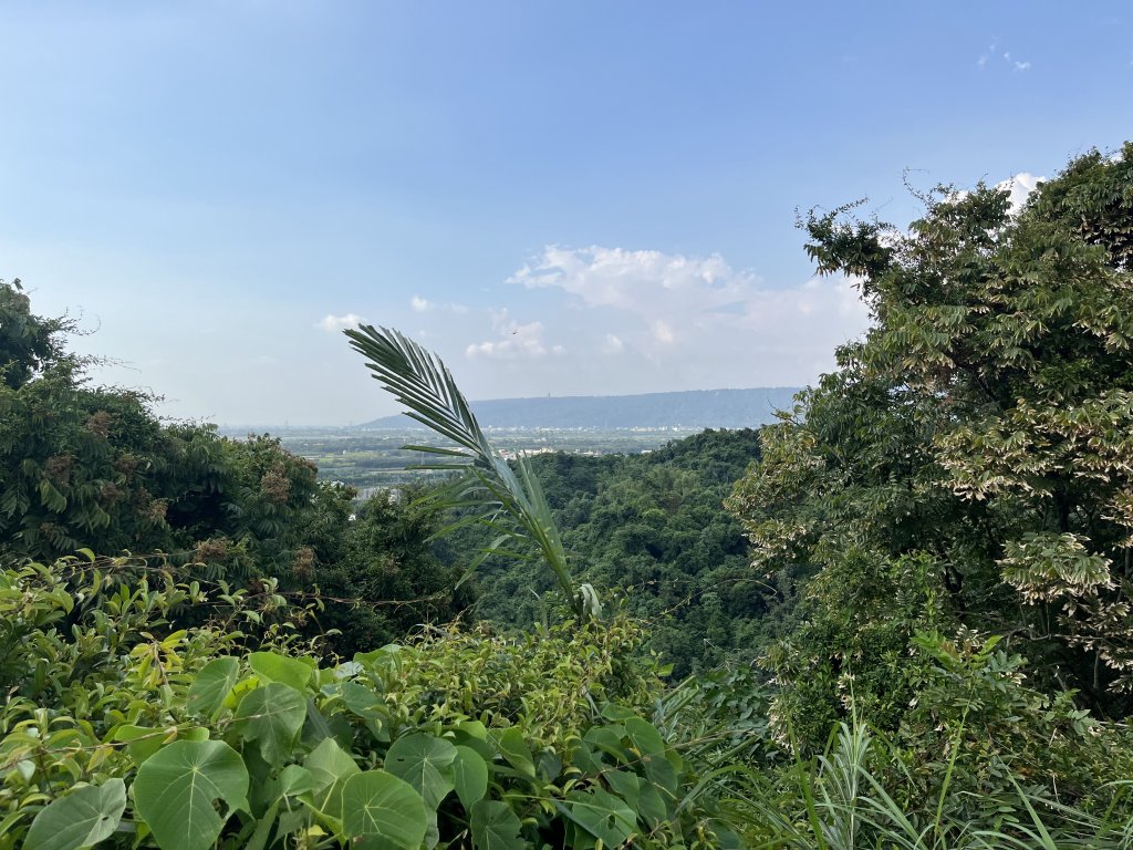 [百山百鳥尋旅-04/15] 2025_0817 龍過脈森林步道_2863342