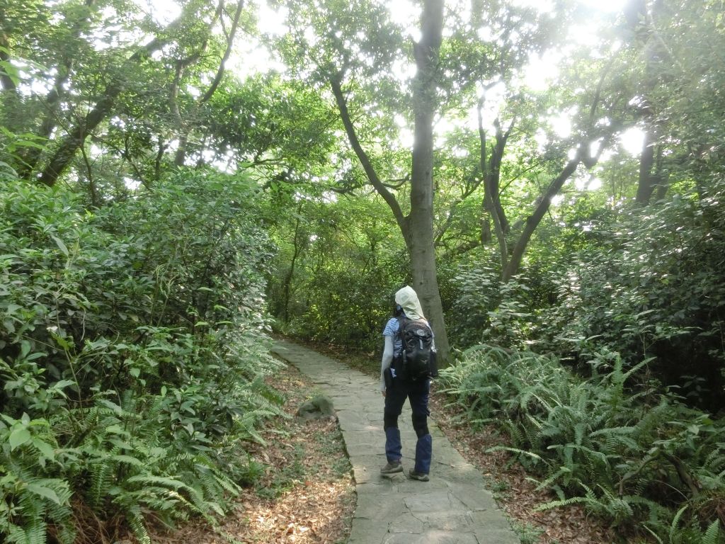 忠義山．雕塑公園．關渡親山步道_174046