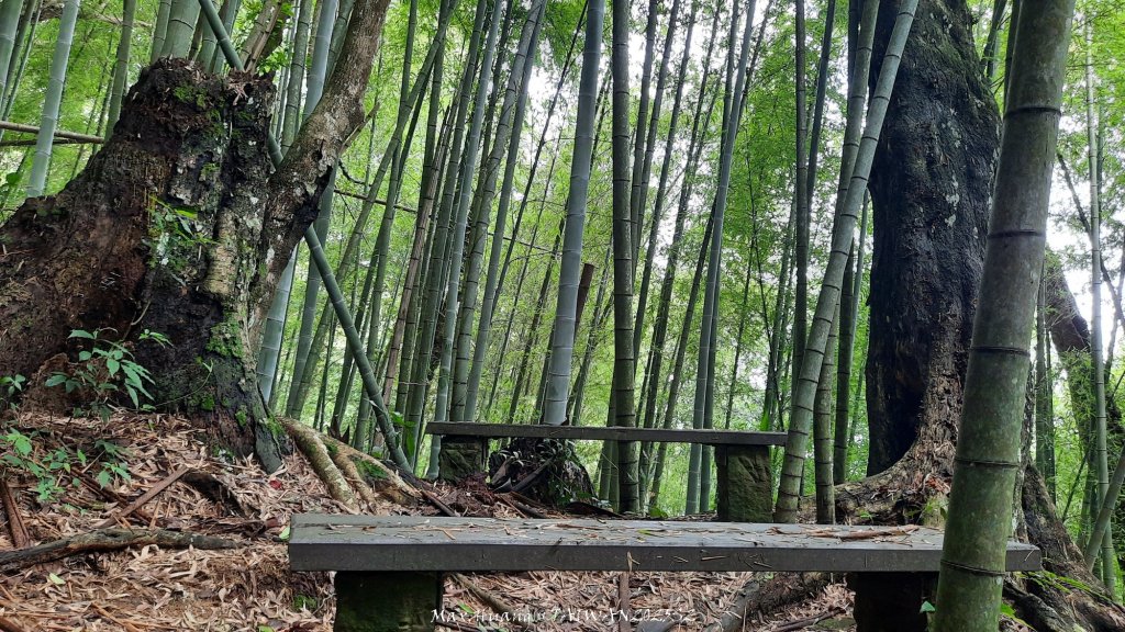《雲林》望好望角｜石壁山嘉南雲峰步道(中側登山口）20250607_2805322