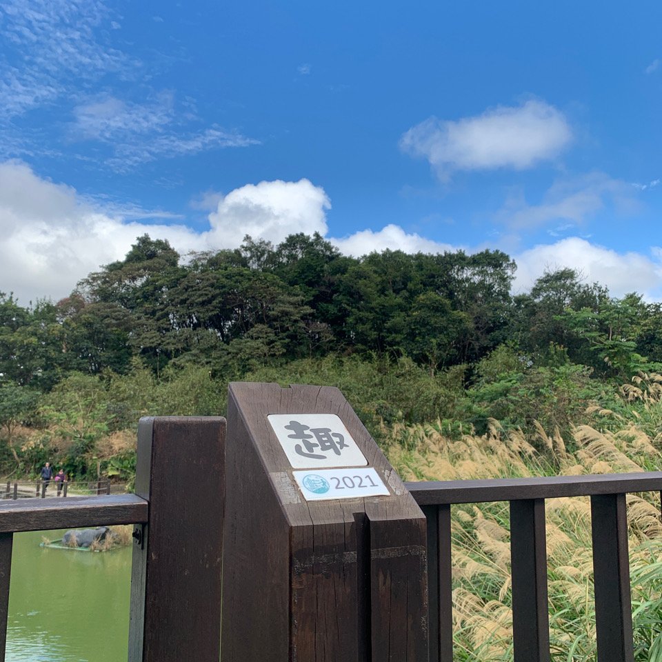 飛龍步道-樟山寺-樟樹步道_1265153