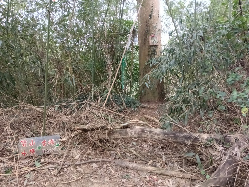 寶山鄉寶山水庫(寶山東峰+中峰+中西峰+西峰+西北峰)+尖山O型_3012517
