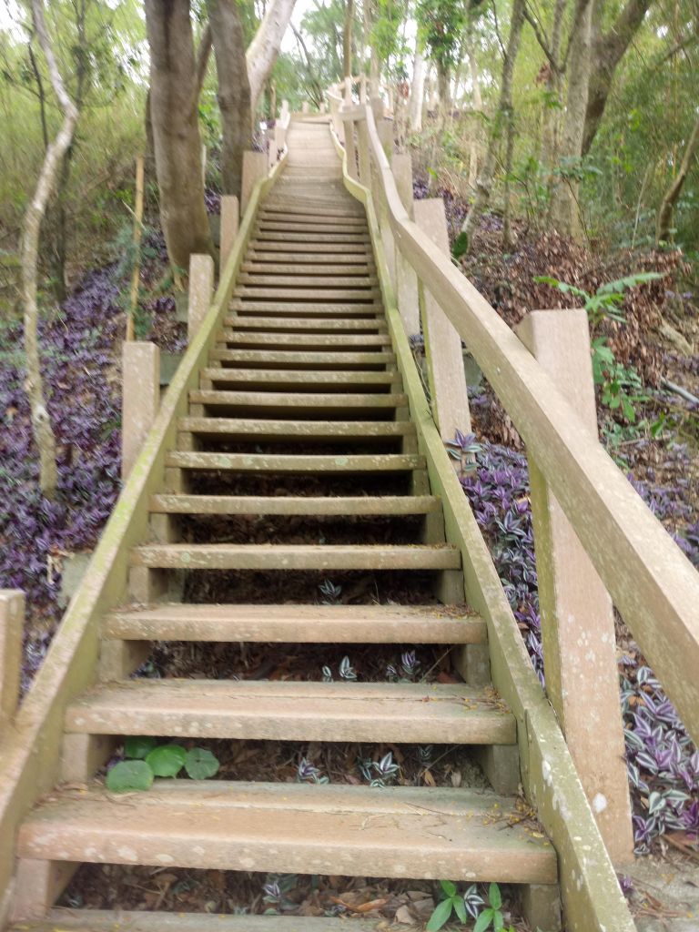 新田登山步道封面圖