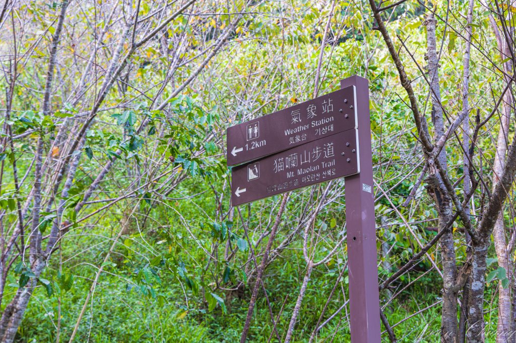 [南投]貓囒山與日月潭_2904400