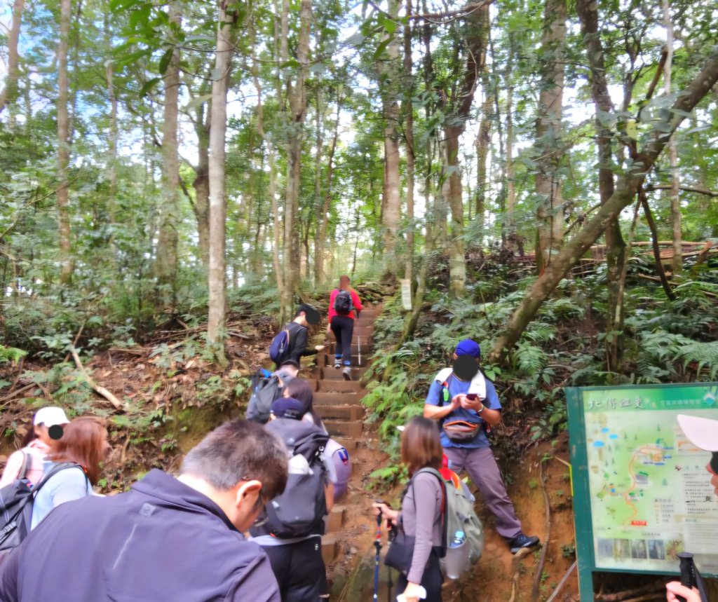 【中級山 】北得拉曼巨木步道，連走內鳥嘴山_2742205