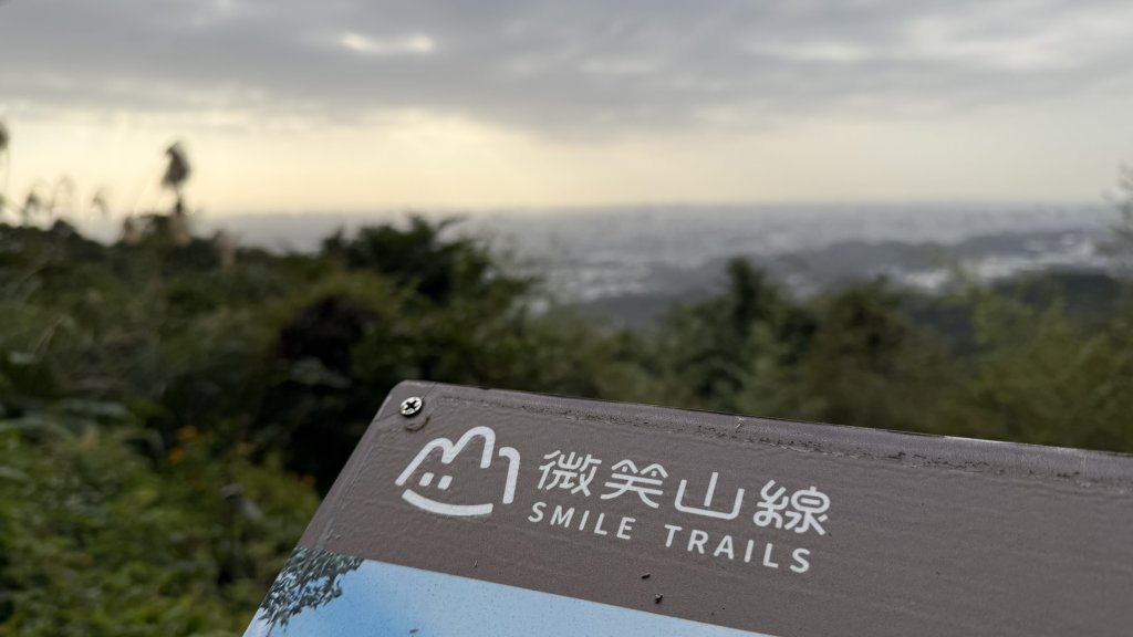 20260111微笑山線：【大棟山系】405高地段+百年大榕樹段封面圖