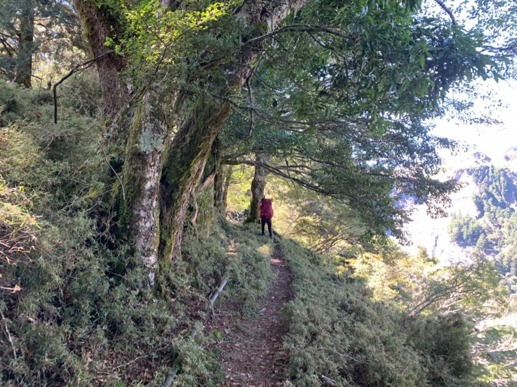 馬博橫斷完百行_1490057