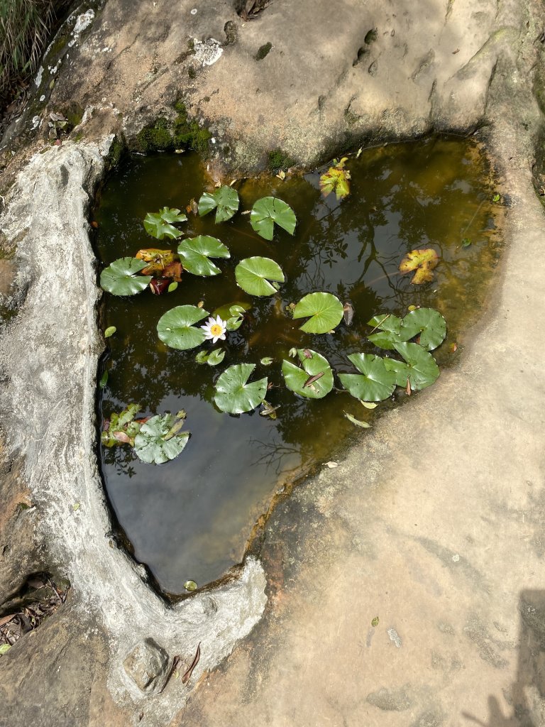 三峽五寮尖山_2764272