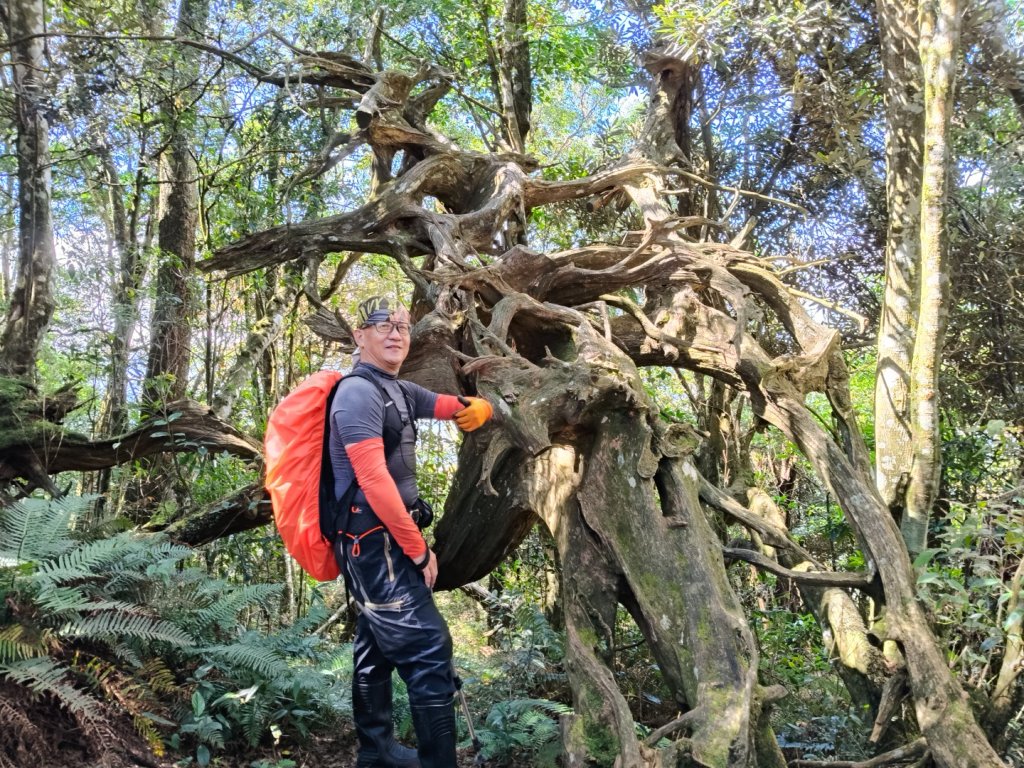 貴妃那結P 型縱走1131012_2621932