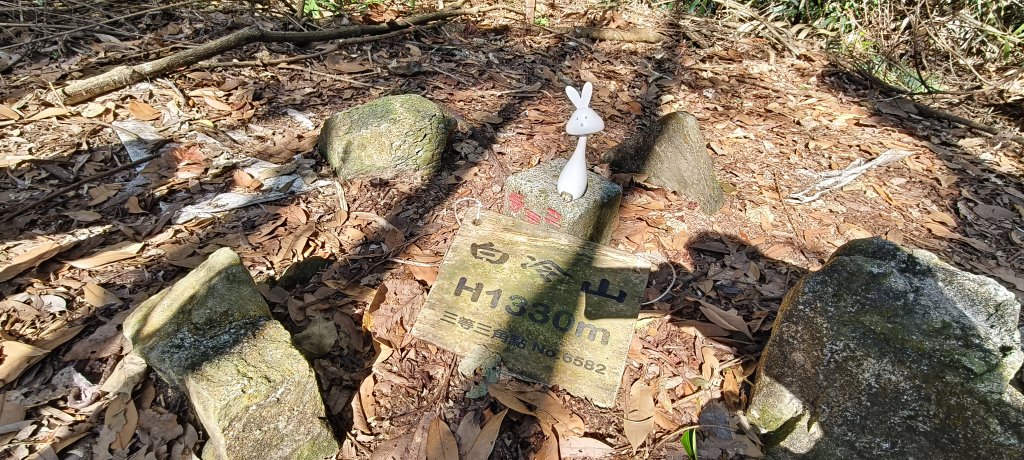 2025/01/30_白冷山步道封面圖