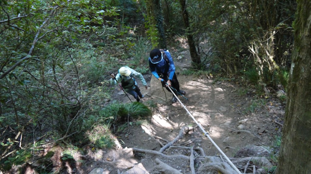 馬武佐野郡山登山健行趣(中級山)_1508689