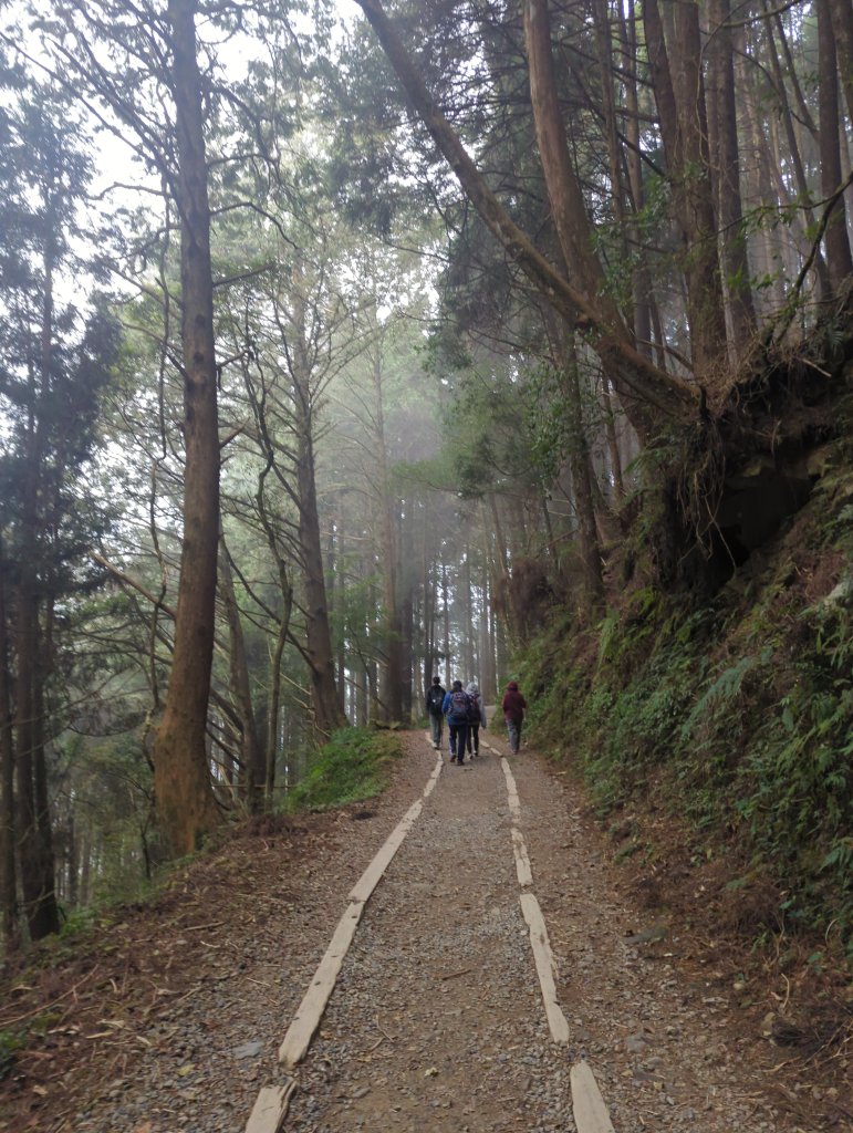 2026.02.14－特富野古道_3013737