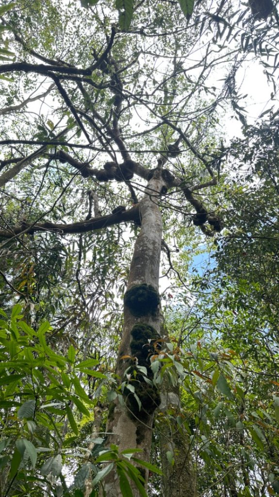 20240419-20松羅湖二天一夜_2767351