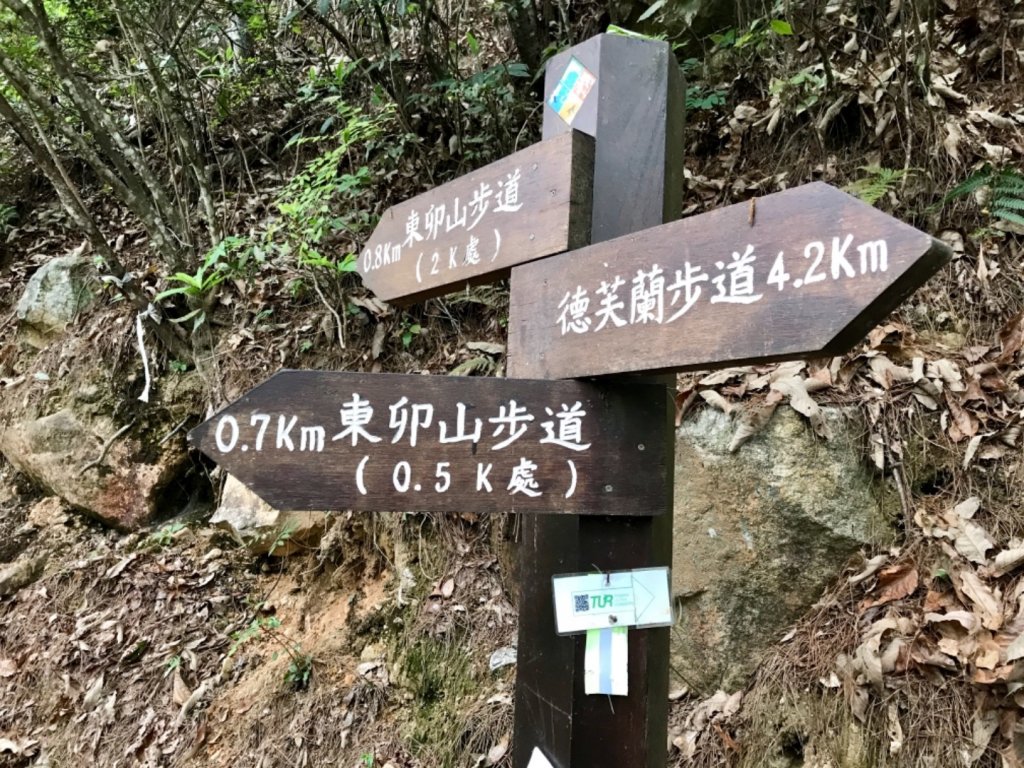 德芙蘭步道環走東卯山_565705