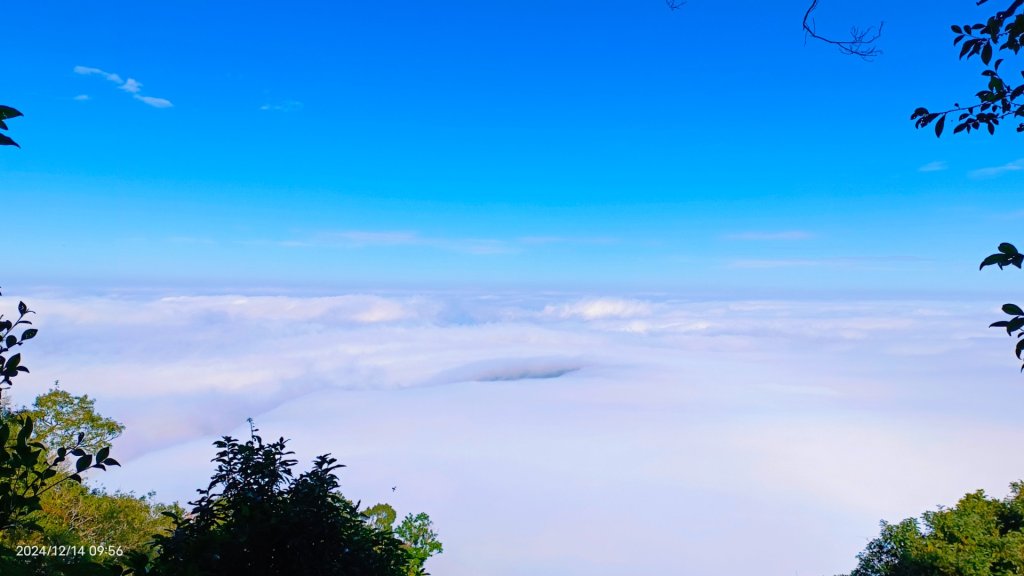 二訪馬拉邦山，解鎖 #琉璃光雲海 #日出雲海  #血月 #斜射光 #楓葉紅了！_2668590