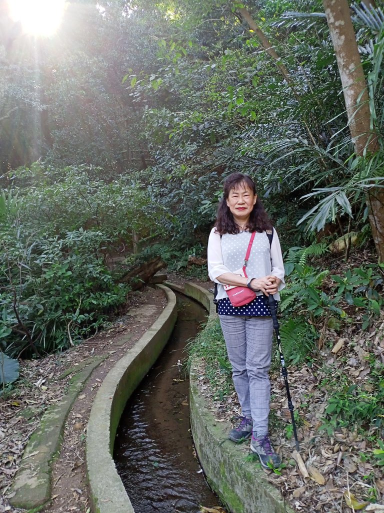 【臺北大縱走 1】貴子坑→忠義山→關渡_1275400