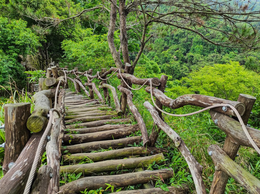 大坑3號登山步道封面圖