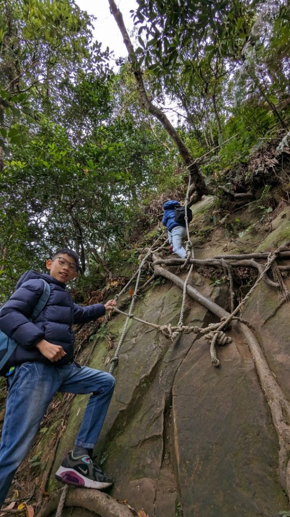 桃園金面山_2380846
