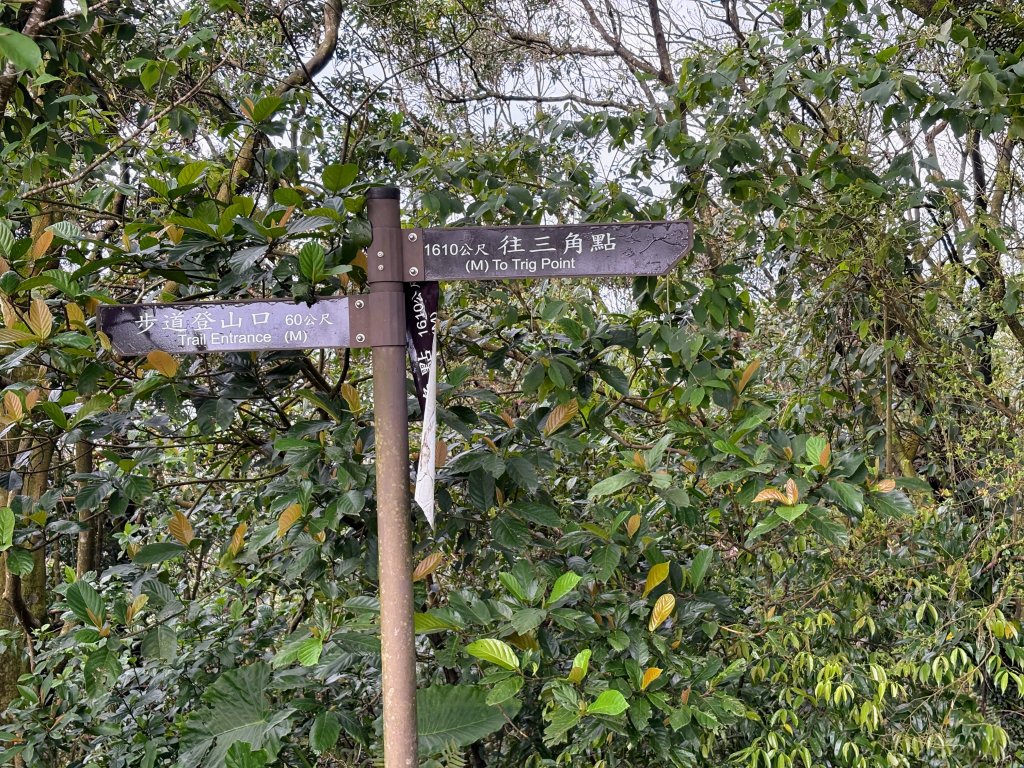 姜子寮山_2736831