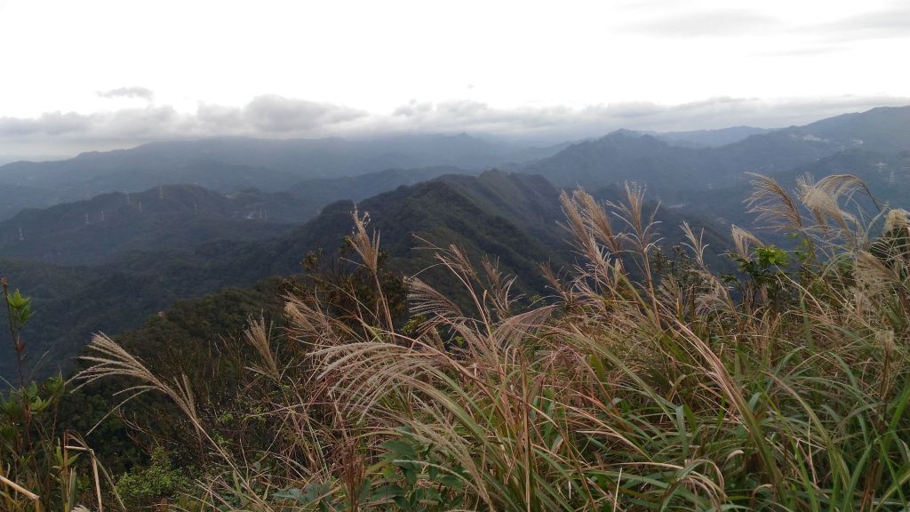 親子健行絕佳地!二格子山!_142285