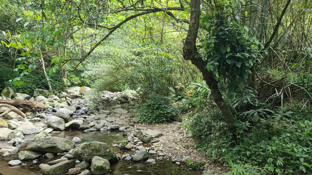 2022-0406 大崎頭步道_瑪礁古道_2號碉堡_內雙溪古道山路_北五指山_高頂山_荷蘭古道_1665149