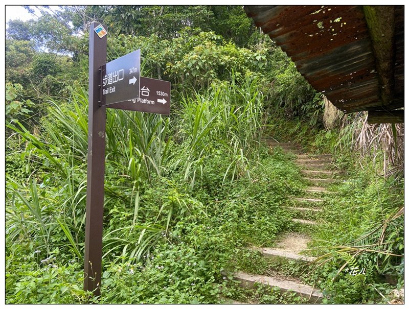 澀水森林步道、水上瀑布_2846769