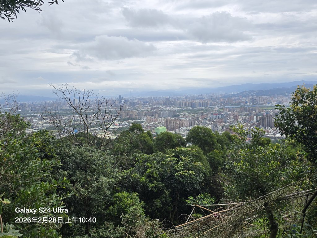 2026-02-28微笑山線：【大棟山系】405高地段_3008695