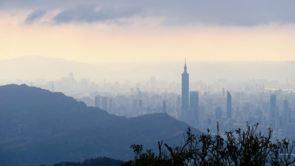 這裡怎麼有兔子還有藍腹鷴?_2663328