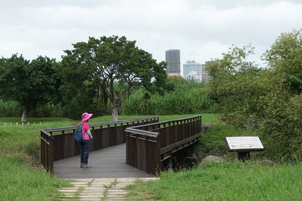 雙園河濱公園．華江雁鴨自然公園_1124218