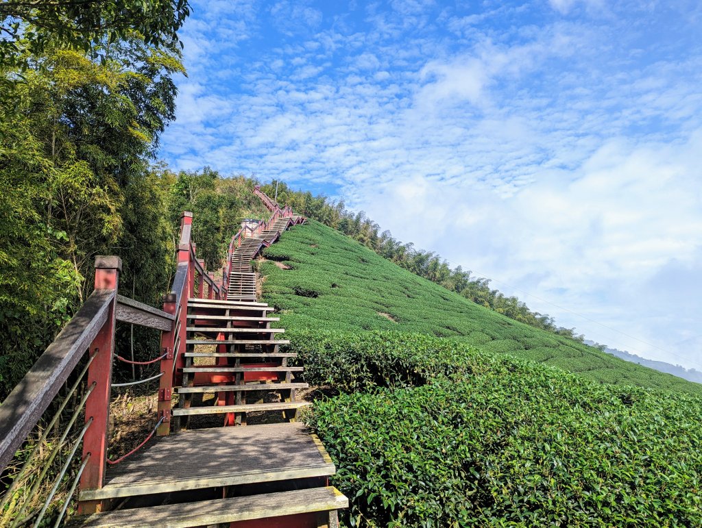 雲海、鐵道、竹林、茶園@景觀變化多且視野展望佳的雲嘉七連峰封面圖