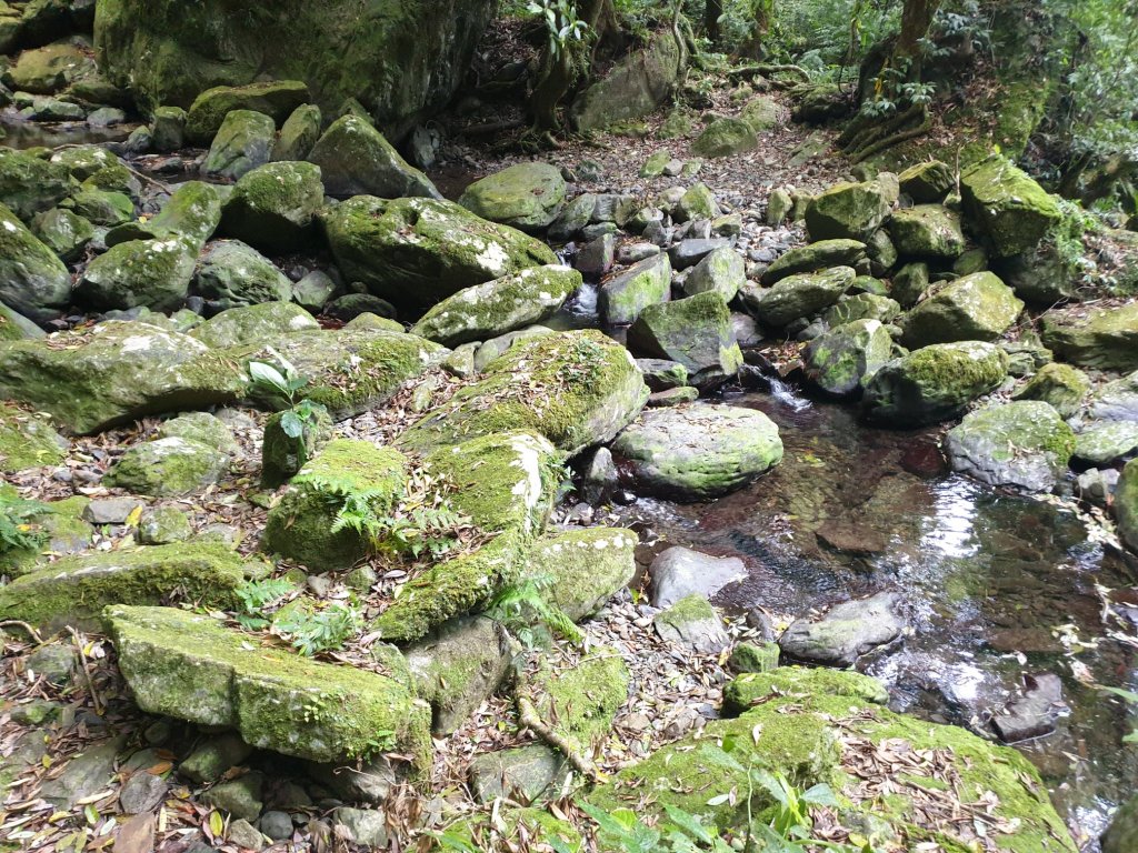 組合山滿月圓山回程順訪滿月圓森林遊樂區封面圖