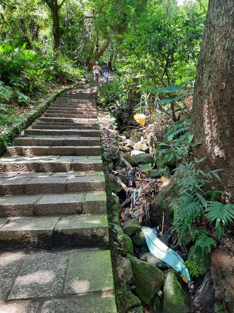 20230722 天母水管古道輕鬆行_2227142