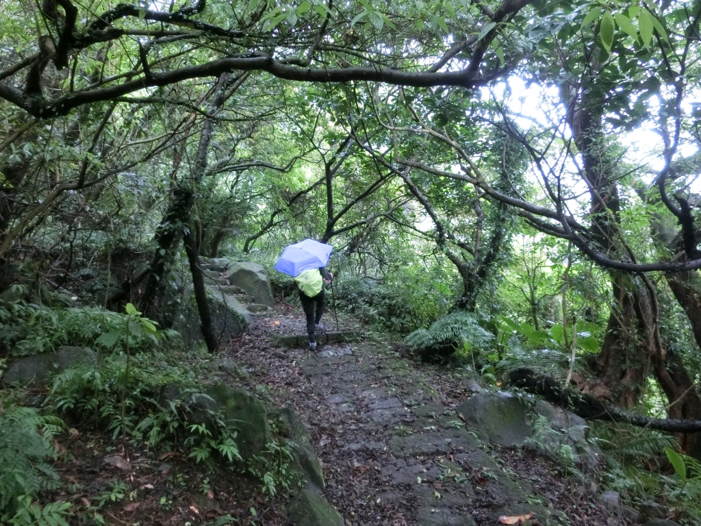 魚路古道（天籟八煙段）．八煙聚落_95165