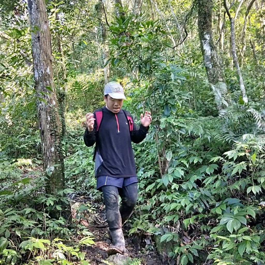 20201025 雲森瀑布，卡保山山毛櫸_1145485