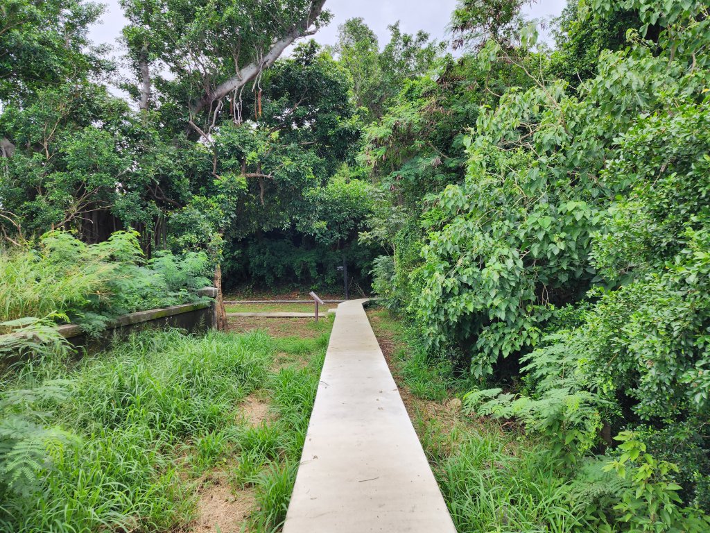 台東｜鯉魚山_2638604