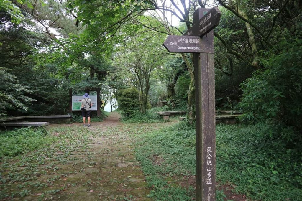 陽明山  菜公坑山 反經石   水車寮步道。林木蓊鬱  豐富的蕨類植披，絕佳避暑古道_2174017