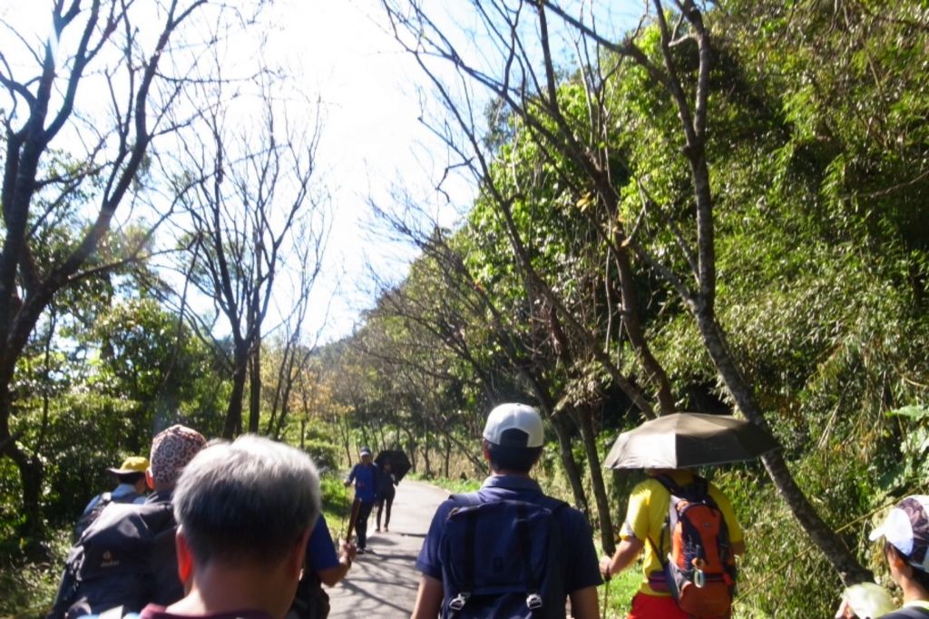 雷隱橋頂湖山O型走中正山觀景台(舊照片)_393051